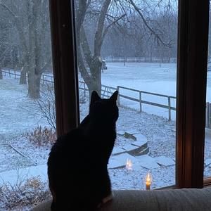 Meet your Posher, Jennifer